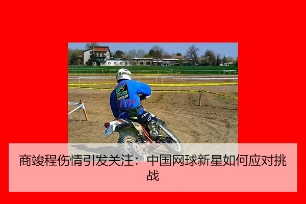 shang-jun-cheng-shang-qing-yin-fa-guan-zhu-zhong-guo-wang-qiu-xin-xing-ru-he-ying-dui-tiao-zhan-2-832.jpg